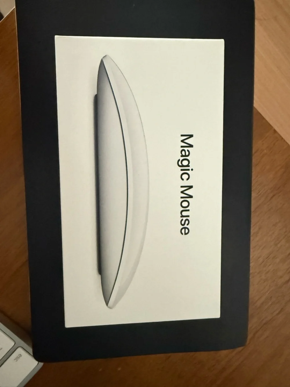 Apple Magic Mouse in White and Silver Accents